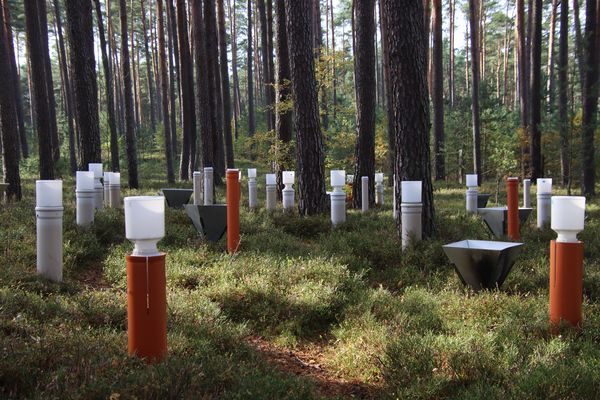 Niederschlags- und Depositionssammler auf der Messfläche